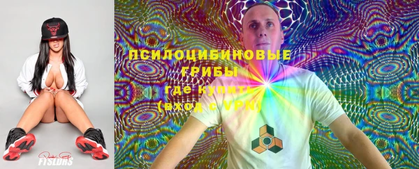 стаф Навашино