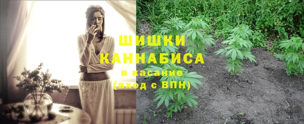 бошки Михайлов