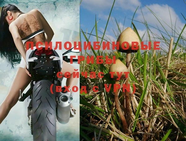бошки Михайлов