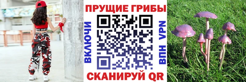 Галлюциногенные грибы GOLDEN TEACHER  Спасск-Рязанский 